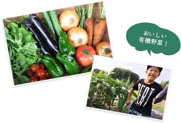 おいしい有機野菜